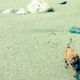 Illustration for article titled How To Take Your Dog Camping
